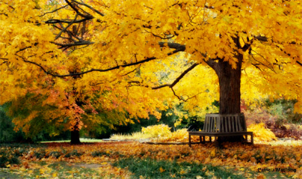 Autumn Garden by Patricia Maulding